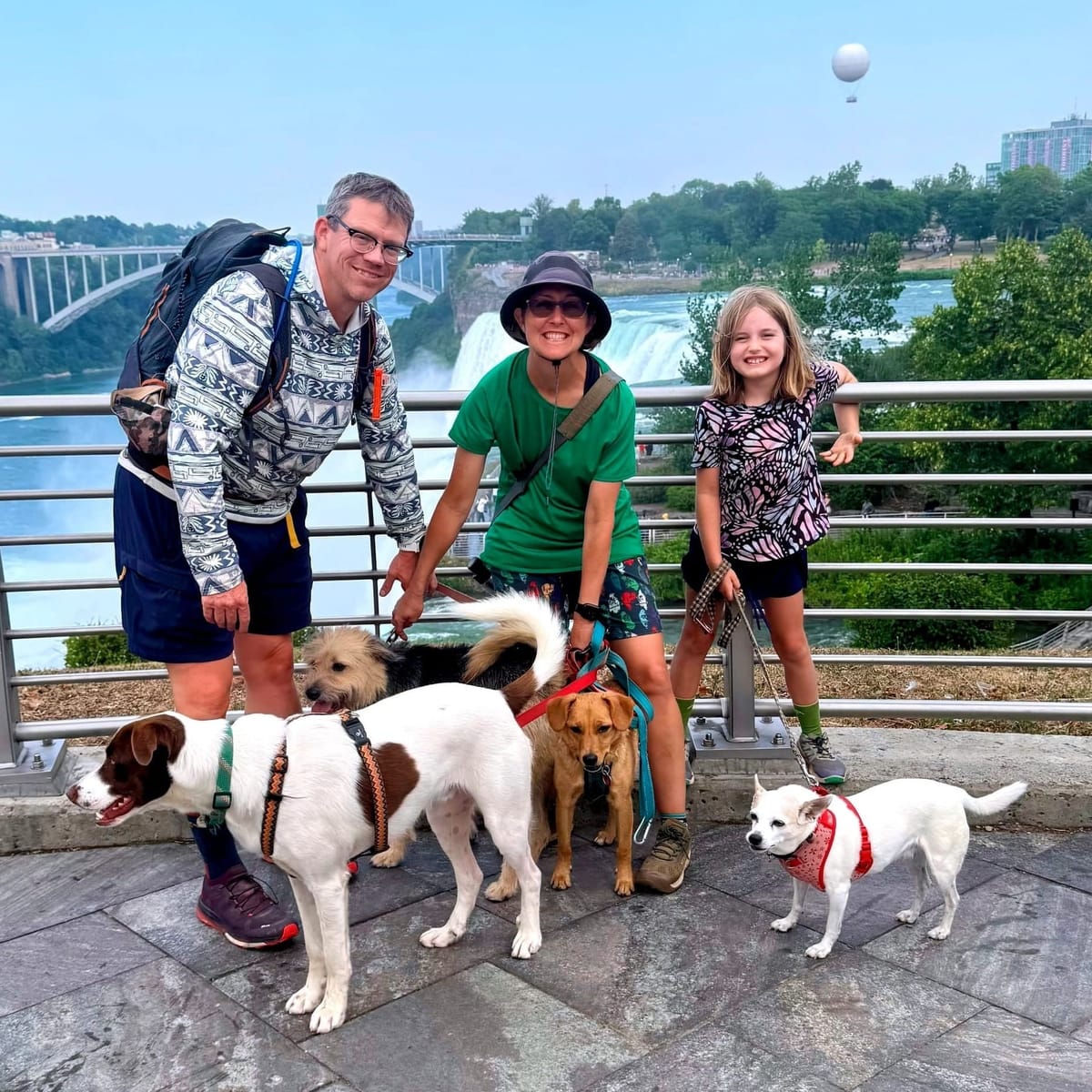 Three people and four dogs stand next to a railing with a giant waterfall in the background.